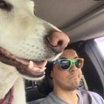 Profile Picture of Steven Cataldo (@stevie_cataldo168) on Instagram
