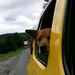 Profile Picture of Andrew Quick (@therabbit84) on Pinterest