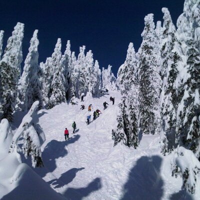 Profile Picture of AlexisPavlich (@AlexisPavlich) on Twitter