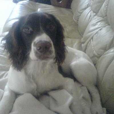 Profile Picture of Mark Lindsley (@marklindsley) on Twitter