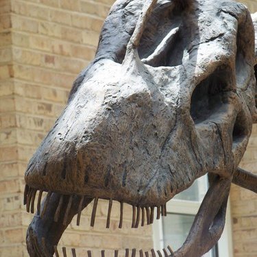 Profile Picture of John Trindle (@jhtrindle) on Twitter