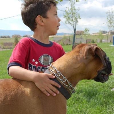 Profile Picture of Andrew Spiegel (@spiegel70) on Twitter