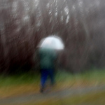 Profile Picture of Lisa Ball (@lisa ball 2010) on Flickr