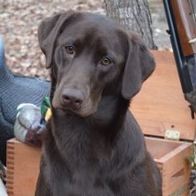 Profile Picture of Larry Cobb (@larrycobb5968) on Twitter