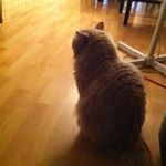 Profile Picture of Andrew_lutsenko (@andrew_lutsenk0) on Instagram