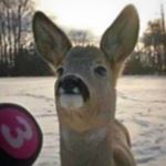 Profile Picture of Jan Głembocki (@haha_beczuniaaa) on Instagram