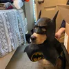 Profile Picture of bunniecream_ (@bunniecream_) on Tiktok