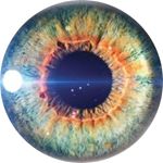 Profile Picture of Richard Rippon (@cheekyricardo) on Instagram