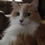 Haley Battone - Facebook Profile Picture of Haley Battone (@heather.battone.3) on Facebook