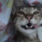 Chad Supnet - Facebook Profile Picture of Chad Supnet (@chydsu) on Facebook