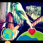 Profile Picture of Joe Rayendraa (@Joe-Rayendraa) on Facebook