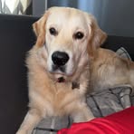 Christopher Hillier - Facebook Profile Picture of Christopher Hillier (@Christopher-Hillier) on Facebook