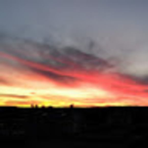 Profile Picture of Dallas Harvison (@harvisondallas0) on Poshmark