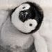 Profile Picture of Maya Iyer (@iyer0707) on Pinterest