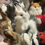 ruby mars - Instagram Profile Picture of ruby mars (@extremecocoon) on Instagram