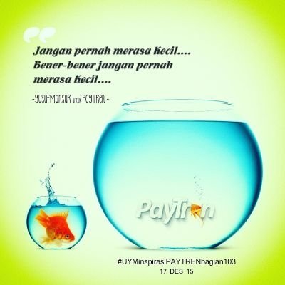 Profile Picture of What (@i_otott) on Twitter