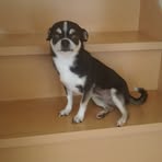 Profile Picture of 上村裕子 (@hiroko.kamimura.942) on Facebook