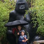 Profile Picture of Clare Mullen (@weeclare75) on Instagram