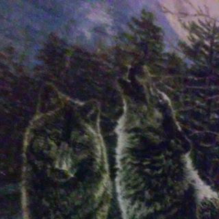 Profile Picture of James Williamson (@James-Williamson) on Facebook