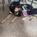 Profile Picture of Sam Waggoner (@sam.waggoner.50) on Facebook