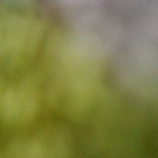 Profile Picture of dureettiiko (@dureettiiko) on Tiktok