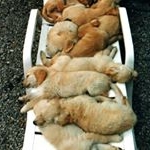 Malcolm Barker - Instagram Profile Picture of Malcolm Barker (@malcolmbarker1213) on Instagram