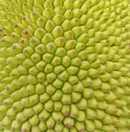 Profile Picture of Dibbo Kumer (@Dibbo-Kumer) on Facebook