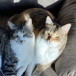 Profile Picture of Walter & Polly (@walter_polly_) on Instagram