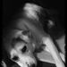 Profile Picture of Marlene Jeffries (@majeffries75) on Pinterest
