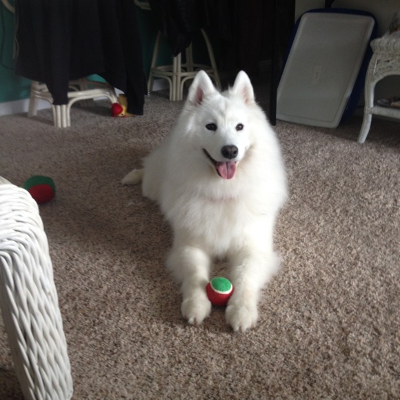 Profile Picture of Eileen Bacchi (@ebacchi57) on Poshmark