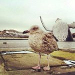 Profile Picture of Richard Barry (@barry.richard) on Instagram