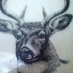 Profile Picture of Steven Neely (@steven_neely1234) on Instagram