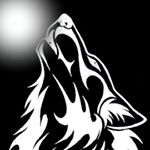 Profile Picture of TheWolf01 (@davide.mazzoli2001) on Instagram