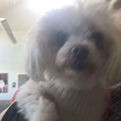 Profile Picture of Pat Graves (@PatGrav55556355) on Twitter