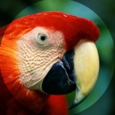 Profile Picture of David Puerta (@davidpuerta33) on Twitter