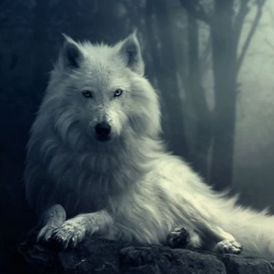 Profile Picture of Aleksandr8968 (@Aleksandr1975sa) on Twitter