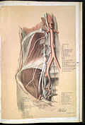 Profile Picture of George Viner Ellison Wikipedia
