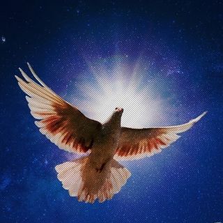 Profile Picture of Fara Lopez Rodriguez (@fara.lopezrodriguez) on Facebook