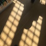Profile Picture of Kevin Kluender (@a_shadow_of) on Instagram
