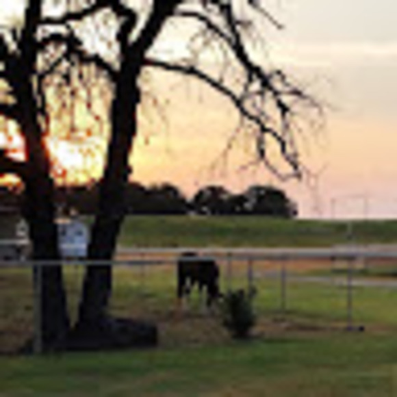 Profile Picture of Chazli Massey (@chazlimassey) on Poshmark