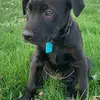 Profile Picture of Joseph Geither (@@josephgeither) on Tiktok