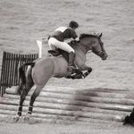 Profile Picture of Adrian Macleod (@adrian.macleod1) on Instagram