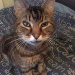 Profile Picture of Michael Poolman (@michael.poolman.14) on Instagram