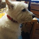 Profile Picture of Larry Hoskins (@christylarry05) on Instagram