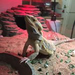 Profile Picture of Taylor Poff (@taylor.poff) on Instagram