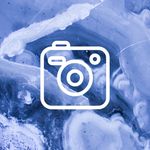 Profile Picture of JoLynn Wilson (@jolynn0614) on Instagram