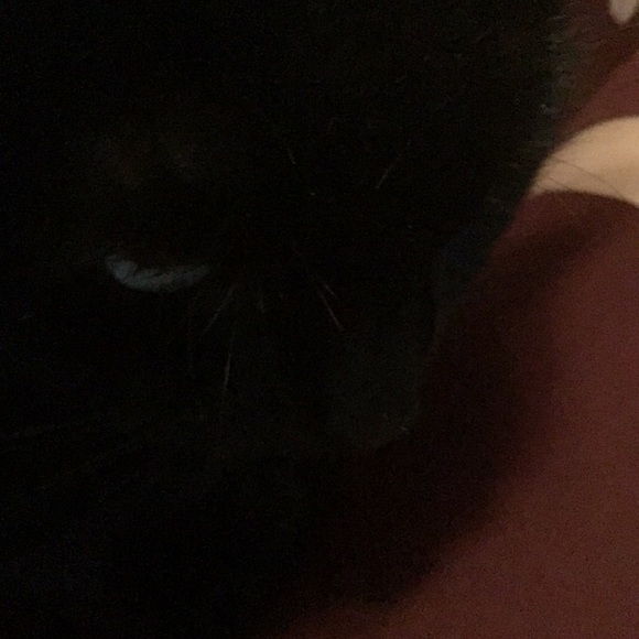 Profile Picture of Audrey Thomas (@audrey321650) on Poshmark