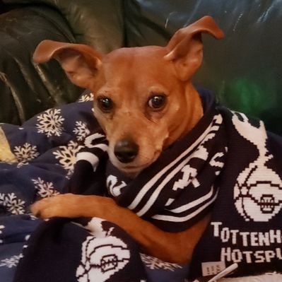 Profile Picture of Pinche Lisa 🇲🇽 (@xicana1626) on Twitter