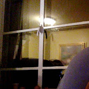 Profile Picture of Jason Yaeger (@jasonyaeger3600) on Youtube