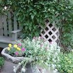 Profile Picture of Nancy Pingleton (@nancypingleton) on Pinterest